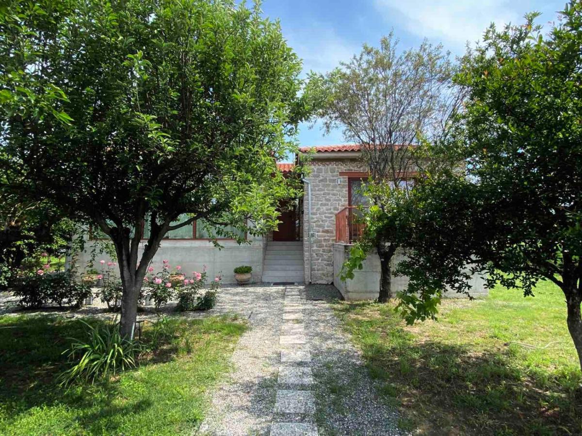 Kampus Luxury Villas Tríkala Exterior foto